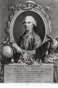Georges-Louis Leclerc (1707-88) Comte de Buffon, gravé par Vincenzio Vangelisti (1738-98) 1777 - Andre Pujos